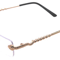 SNAKE TRAP trasparente